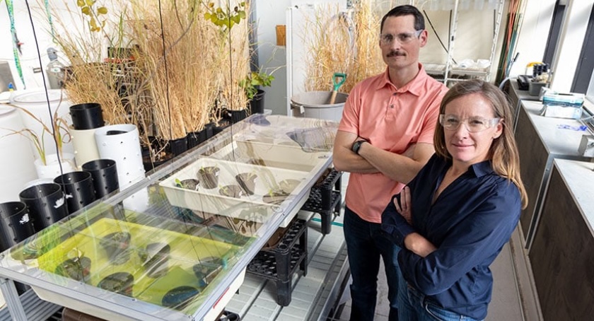 NREL researchers Bryon Larson and Lieve Larens pose in the Field Test Laboratory Building where a variety of plants are grown, including tomatoes. (Photo by Gregory Cooper, NREL)